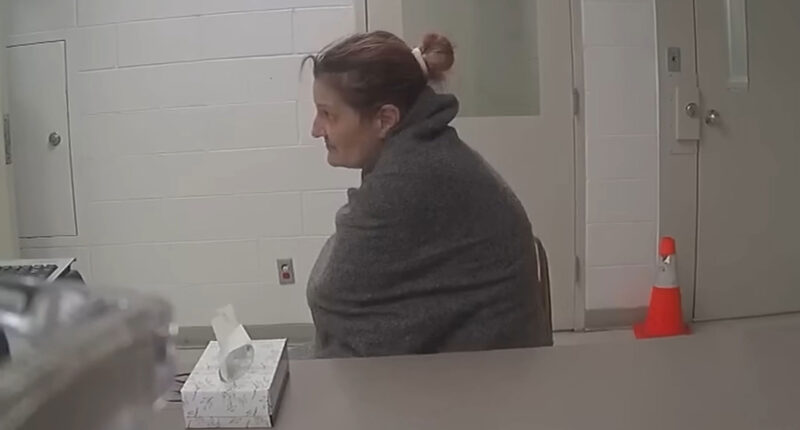 Wild moment DoorDash driver reveals ‘I saw Bryan there’ on night of Idaho murders mid-DUI arrest & says she will testify