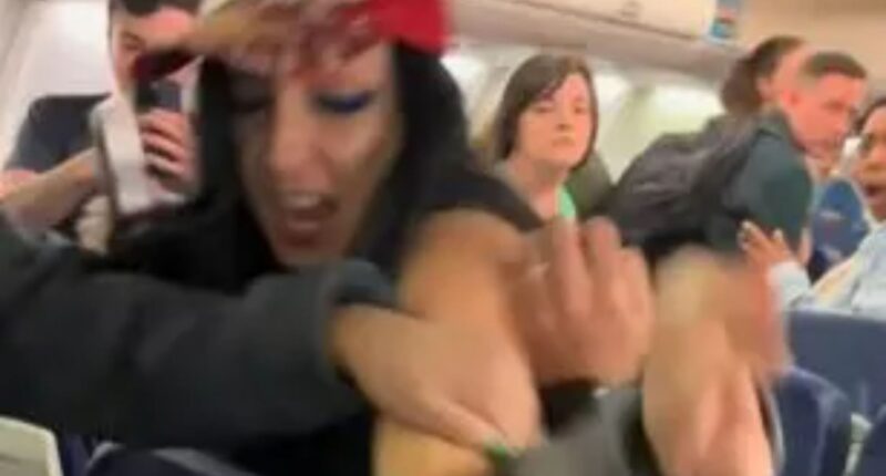 Wild moment plane passenger Leanna Perry has screaming body-shaming meltdown on flight before being handcuffed by cops