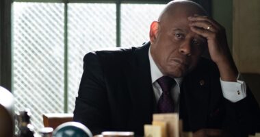 Will There Be a ‘Godfather of Harlem’ Season 5?