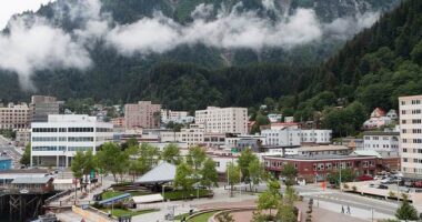 Winning: USDA Rescinds Roadless Rule That Prevented Logging, Fire Management