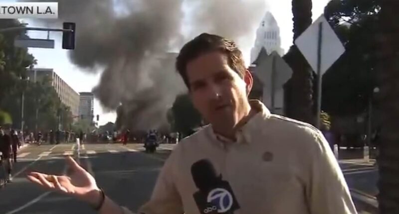 Woke reporter denies there are riots and looting in LA while chaos unfolds behind him