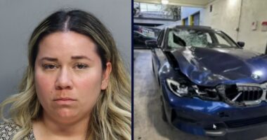 Woman makes shocking proclamation after fatal crash: Cops