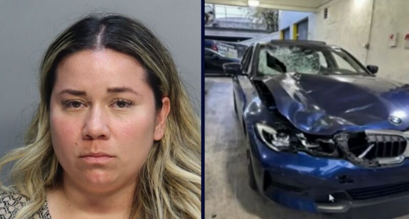 Woman makes shocking proclamation after fatal crash: Cops