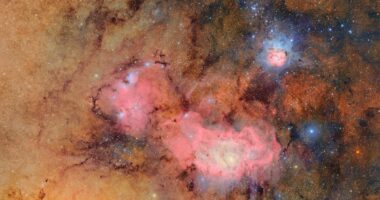 World's largest camera snaps its first picture: Incredible photo shot by the Vera Rubin observatory shows the Trifid and Lagoon nebulae in stunning detail