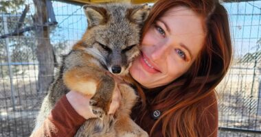 YouTube star Mikayla Raines dead at 29: Husband confirms death in heartbreaking statement