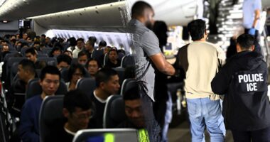 ‘High-risk’ ICE flight deports over 100 illegal aliens, including convicted felons, to China