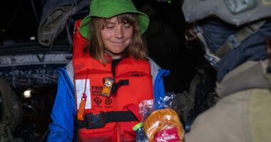 ‘Just leave her in Gaza’ Israeli hostage families slam Greta Thunberg over embarrassing ‘Freedom Flotilla’ stunt