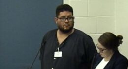‘No doubt:’ Tourists feared for their lives in tense Orlando road-rage incident