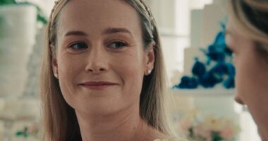 ‘The Bear’ Season 4 Went Too Far Casting Brie Larson As Francie Fak