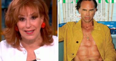 ‘The View’ Censored Walton Goggins’ Speedo Photo: “Reveals Too Much Of His Walton And Both Of His Goggins,” According To Joy Behar