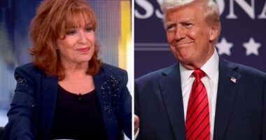 ‘The View’s Joy Behar Isn’t Surprised Trump’s Favorite Musical Is ‘Cats’: “He Likes To Grab Them By The Cat”