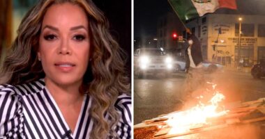 ‘The View’s Sunny Hostin Blames ICE For “Crisis” In LA: “There Is No Crisis In Los Angeles That ICE Did Not Cause”