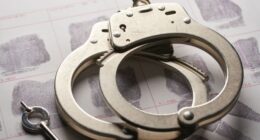 ‘Theft blitz’ arrests dozens as Florida tackles crime rings in the state