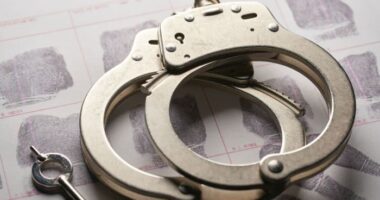 ‘Theft blitz’ arrests dozens as Florida tackles crime rings in the state