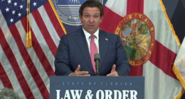 ‘You burn the American flag?’ Florida Gov. DeSantis weighs in on LA riots