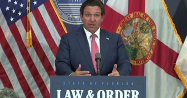 ‘You burn the American flag?’ Florida Gov. DeSantis weighs in on LA riots