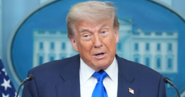 Alligator Alcatraz: Trump will visit a remote immigration detention site in the Florida Everglades