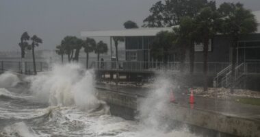 Chances of cyclone forming off US coast INCREASE as hurricane trackers issue warning to 39m Americans