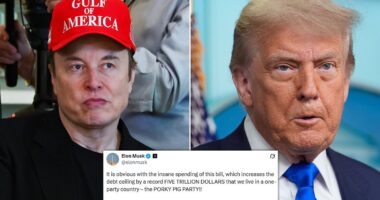 Elon goes nuclear on 'insane spending bill' with new pledge that could threaten Trump's Republican majority