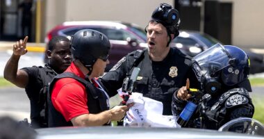 Journalist arrested while covering anti-Trump protest granted bail amid deportation battle