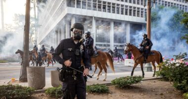 LA officials charge over 40 anti-ICE protesters who allegedly assaulted officers, horses and threatened child