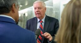 Lindsey Graham gets GOP primary challenge from André Bauer, South Carolina's former lieutenant gov