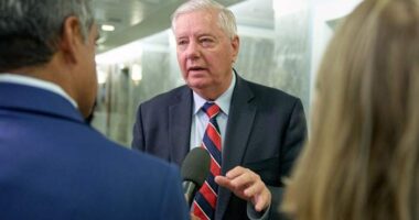 Lindsey Graham gets GOP primary challenge from André Bauer, South Carolina's former lieutenant gov