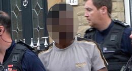 Moment Border Force agents smash people smuggling ring as they arrest Gambian national in terraced family home 'who helped launder £3m in profits'