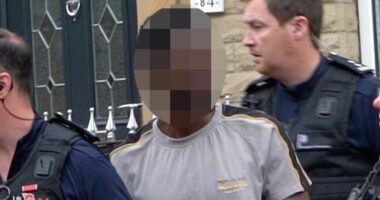 Moment Border Force agents smash people smuggling ring as they arrest Gambian national in terraced family home 'who helped launder £3m in profits'