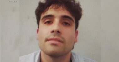 Ovidio Guzman Lopez, 1 of El Chapo's sons, intends to plead guilty in New York fed criminal case: I-Team documents