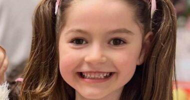 Pictured: Girl, seven, who died after tree 'held up by metal poles' collapsed on top of her in park - as heartbroken parents pay tribute to 'the light in our lives'
