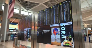 Travel nightmare unfolds as storm system grounds East Coast flights ahead of July 4