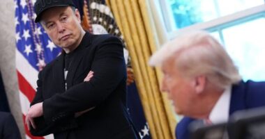Trump says DOGE is a monster that may 'go back and eat Elon'