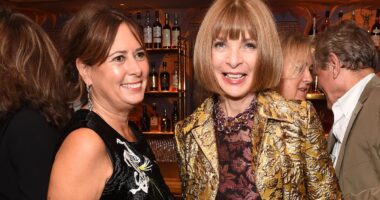Yes, Anna Wintour could be brutal. But like me she'll surely feel a deep sense of loss to walk away from the cashmere nest that is the editor's chair at Vogue: ALEXANDRA SHULMAN